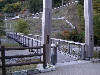 s_IMGP0457s.png